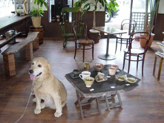 広々とした店内。