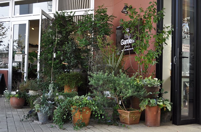 様々な種類の木や寄せ植えが置かれています。