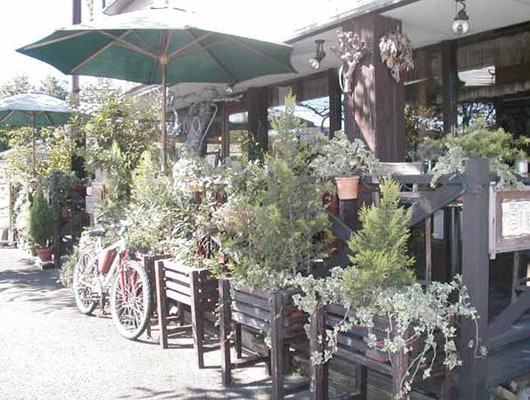 お店の入り口やデッキを囲むように、植物が飾られています。