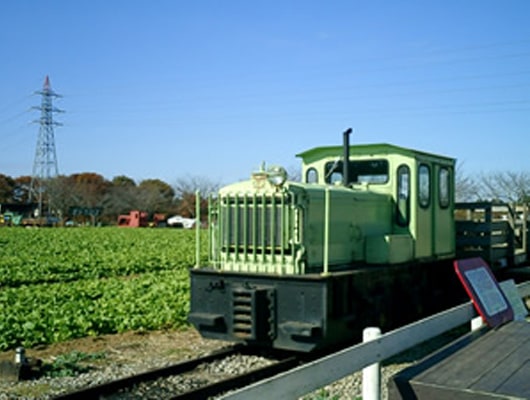 牧場を周遊するトロッコ列車。わんこはひざに抱えて乗車しましょう。