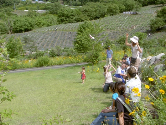 ゆるやかな丘陵の芝生の広場。