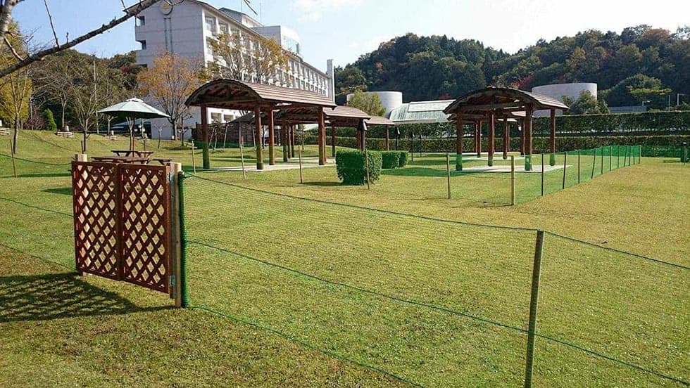 芝生のドッグランで遊べます。