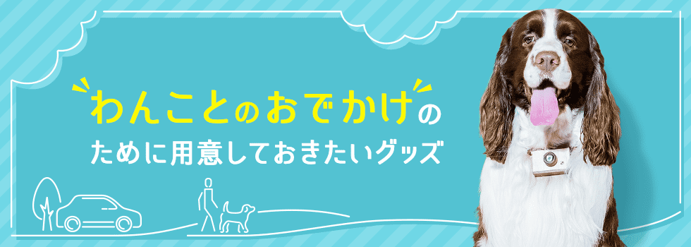 わんことのおでかけのために用意しておきたいグッズ