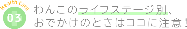 わんこのライフステージ別、おでかけのときはココに注意！