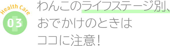 わんこのライフステージ別、おでかけのときはココに注意！