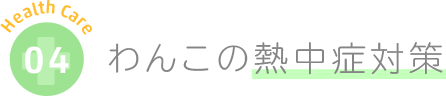 わんこの熱中症対策