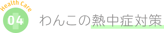 わんこの熱中症対策