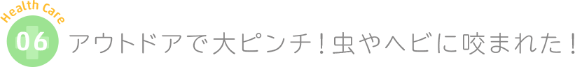 アウトドアで大ピンチ！虫やヘビに咬まれた！