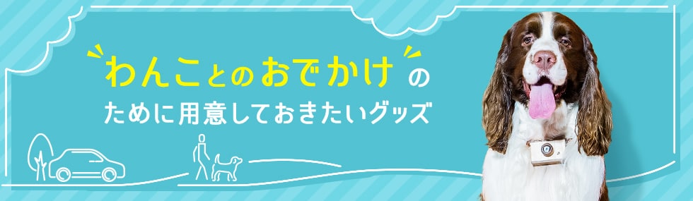 わんことのおでかけのために用意しておきたいグッズ