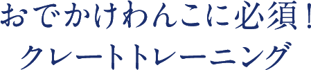 おでかけわんこに必須！クレートトレーニング