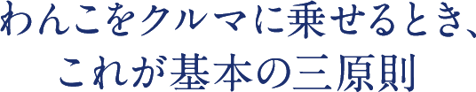 わんこをクルマに乗せるとき、これが基本の三原則