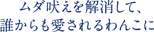 ムダ吠えを解消して、誰からも愛されるわんこに