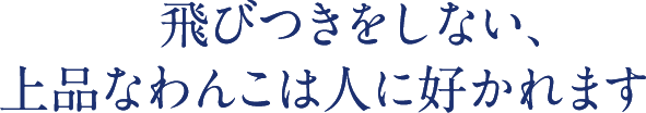 飛びつきをしない、上品なわんこは人に好かれます