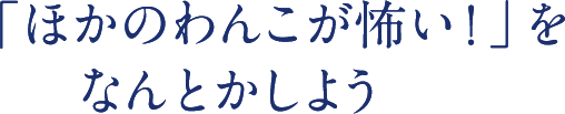 「ほかのわんこが怖い！」をなんとかしよう