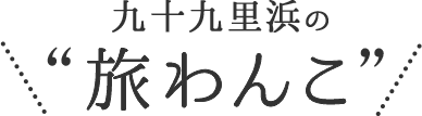 九十九里浜の旅わんこ