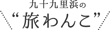 九十九里浜の旅わんこ