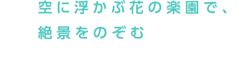 空に浮かぶ花の楽園で、絶景をのぞむ