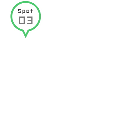 Spot 03 南あわじドッグラン飛行犬撮影所