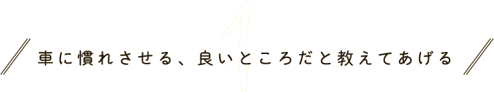 1 車に慣れさせる、良いところだと教えてあげる