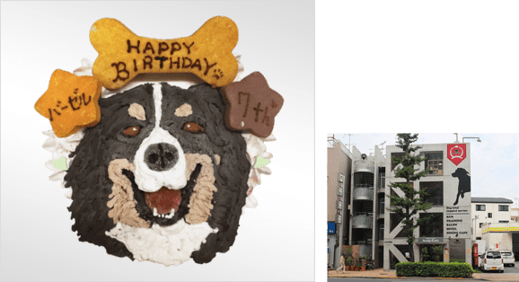 関東編 アニバーサリーにぴったりなドッグカフェ8選 特集 おでかけ情報 Honda Dog