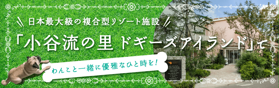 日本最大級の複合型リゾート施設「小谷流の里 ドギーズアイランド」でわんこと一緒に優雅なひと時を！