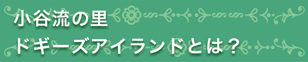 小谷流の里 ドギーズアイランドとは？