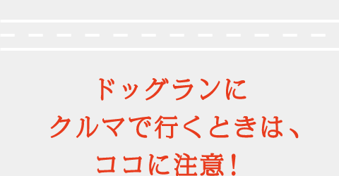 ドッグランにクルマで行くときは、ココに注意！