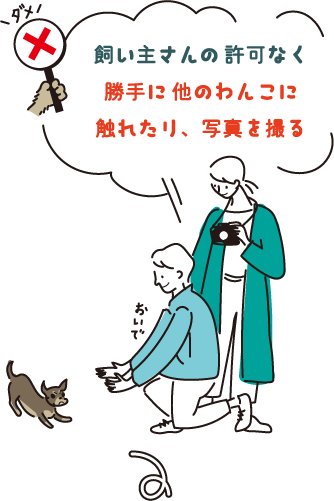 飼い主さんの許可なく勝手に他のわんこに触れたり、写真を撮る