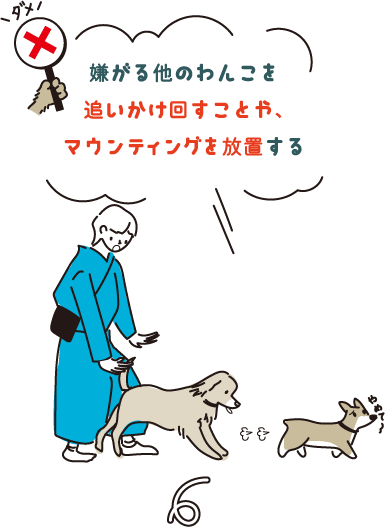 嫌がる他のわんこを追いかけ回すことや、マウンティングを放置する