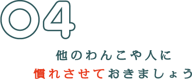 他のわんこや人に慣れさせておきましょう