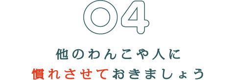 他のわんこや人に慣れさせておきましょう