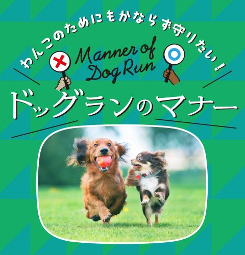 わんこのためにもかならず守りたい！ドッグランのマナー