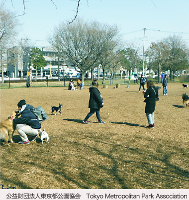 公益財団法人東京都公園協会 Tokyo Metropolitan Park Association