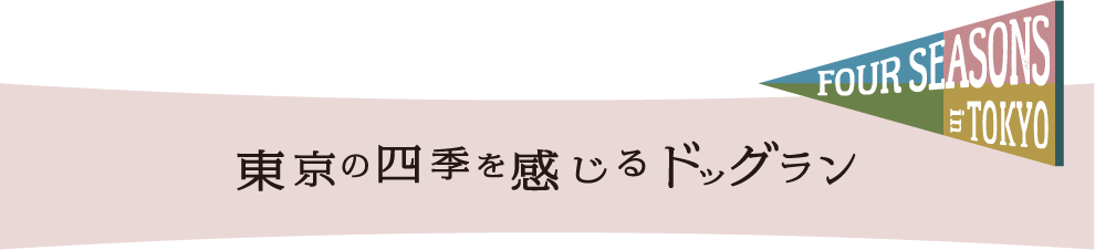 東京の四季を感じるドッグラン