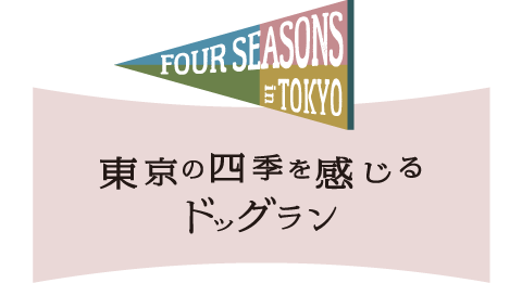 東京の四季を感じるドッグラン