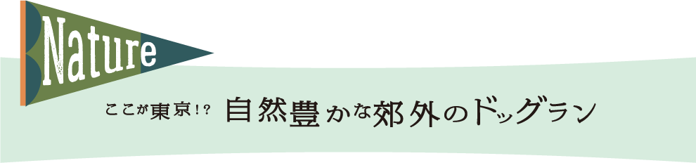 ここが東京？！自然豊かな郊外のドッグラン