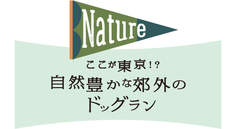 ここが東京？！自然豊かな郊外のドッグラン