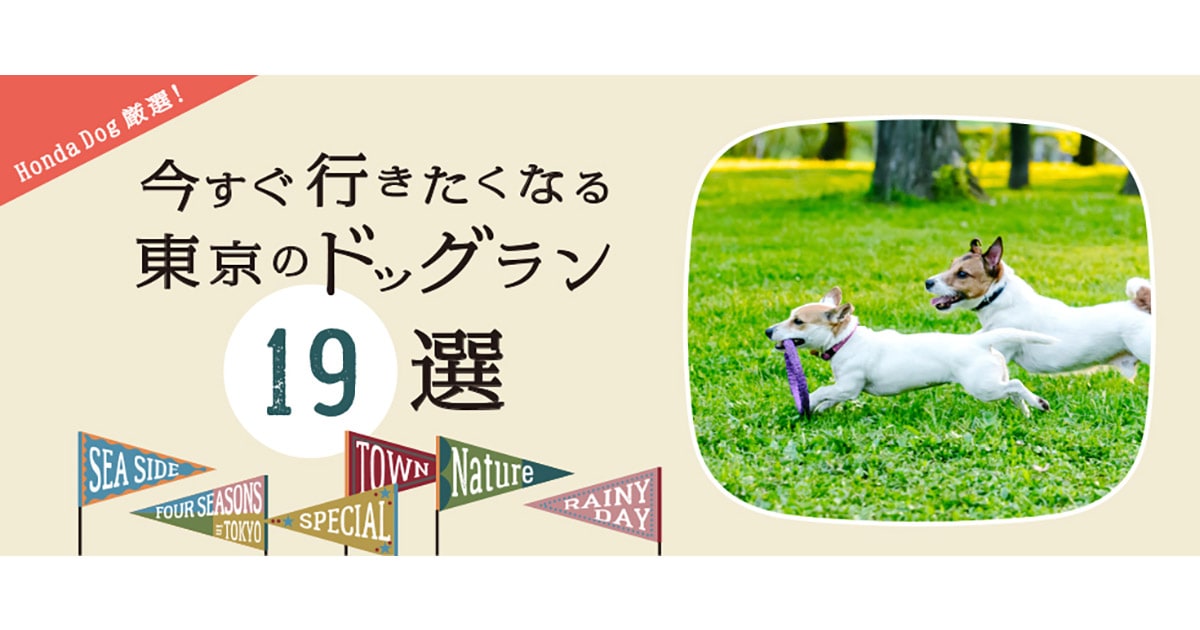 Honda Dog厳選 今すぐ行きたくなる 東京のドッグラン19選 特集 おでかけ情報 Honda Dog Honda