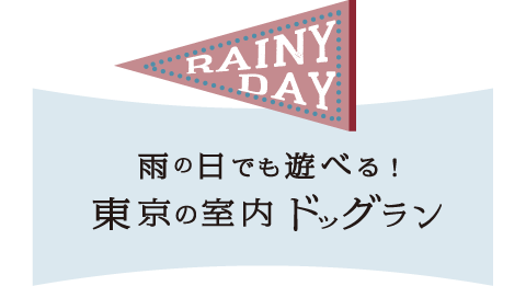 雨の日でも遊べる！　東京の屋内ドッグラン