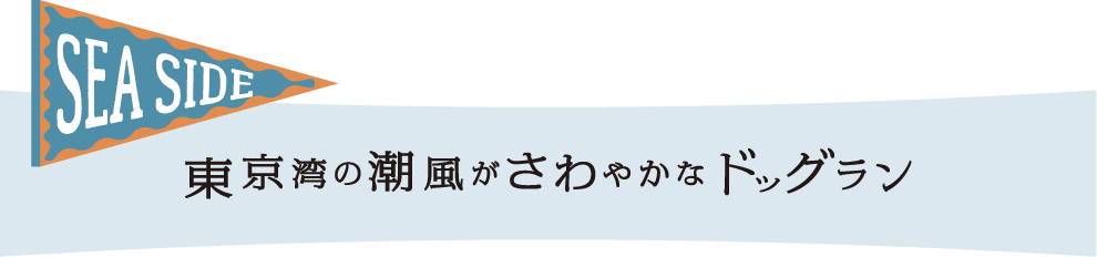 東京湾の潮風がさわやかな海辺のドッグラン