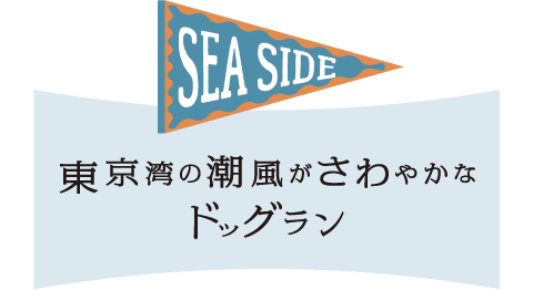 東京湾の潮風がさわやかな海辺のドッグラン