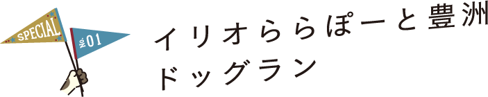 SPECIAL No.01 イリオららぽーと豊洲ドッグラン