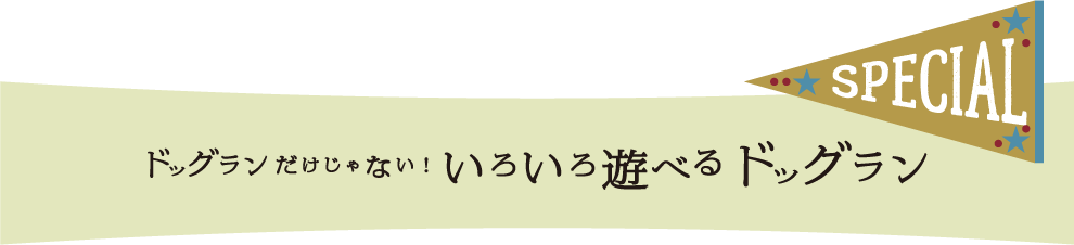 ドッグランだけじゃない！いろいろ遊べる東京のドッグラン