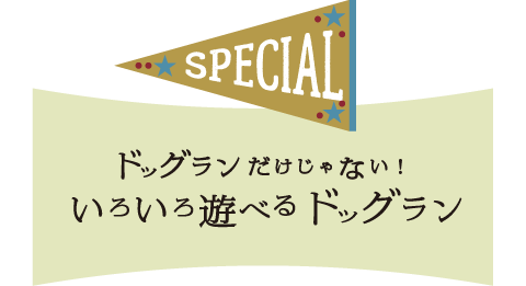 ドッグランだけじゃない！いろいろ遊べる東京のドッグラン