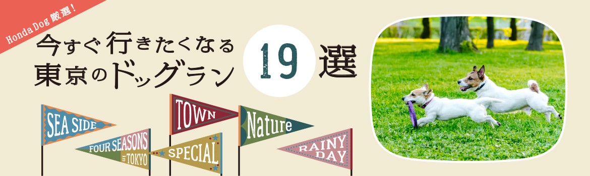 Honda Dog厳選！今すぐ行きたくなる、東京のドッグラン19選