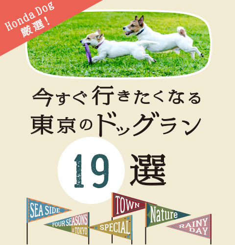 Honda Dog厳選！今すぐ行きたくなる、東京のドッグラン19選