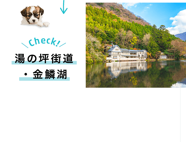Check!湯の坪街道・金鱗湖