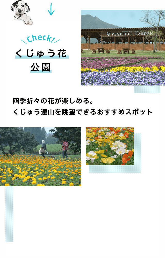 Check!くじゅう花公園 四季折々の花が楽しめる。くじゅう連山を眺望できるおすすめスポット