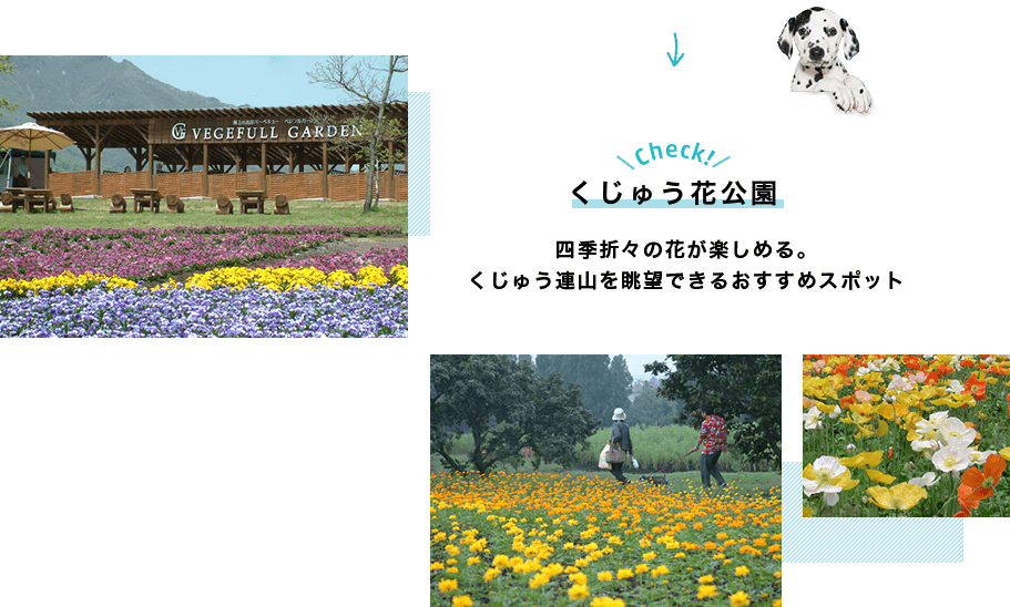 Check!くじゅう花公園 四季折々の花が楽しめる。くじゅう連山を眺望できるおすすめスポット