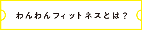 わんわんフィットネスとは？